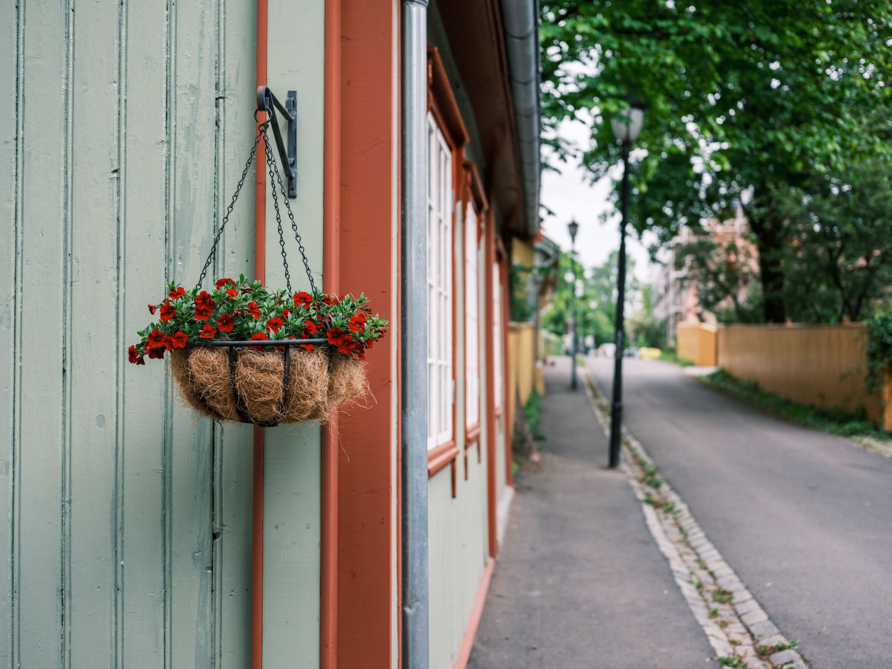 A hanging basket of bright red flowers on the wall of a building beside a quiet narrow street