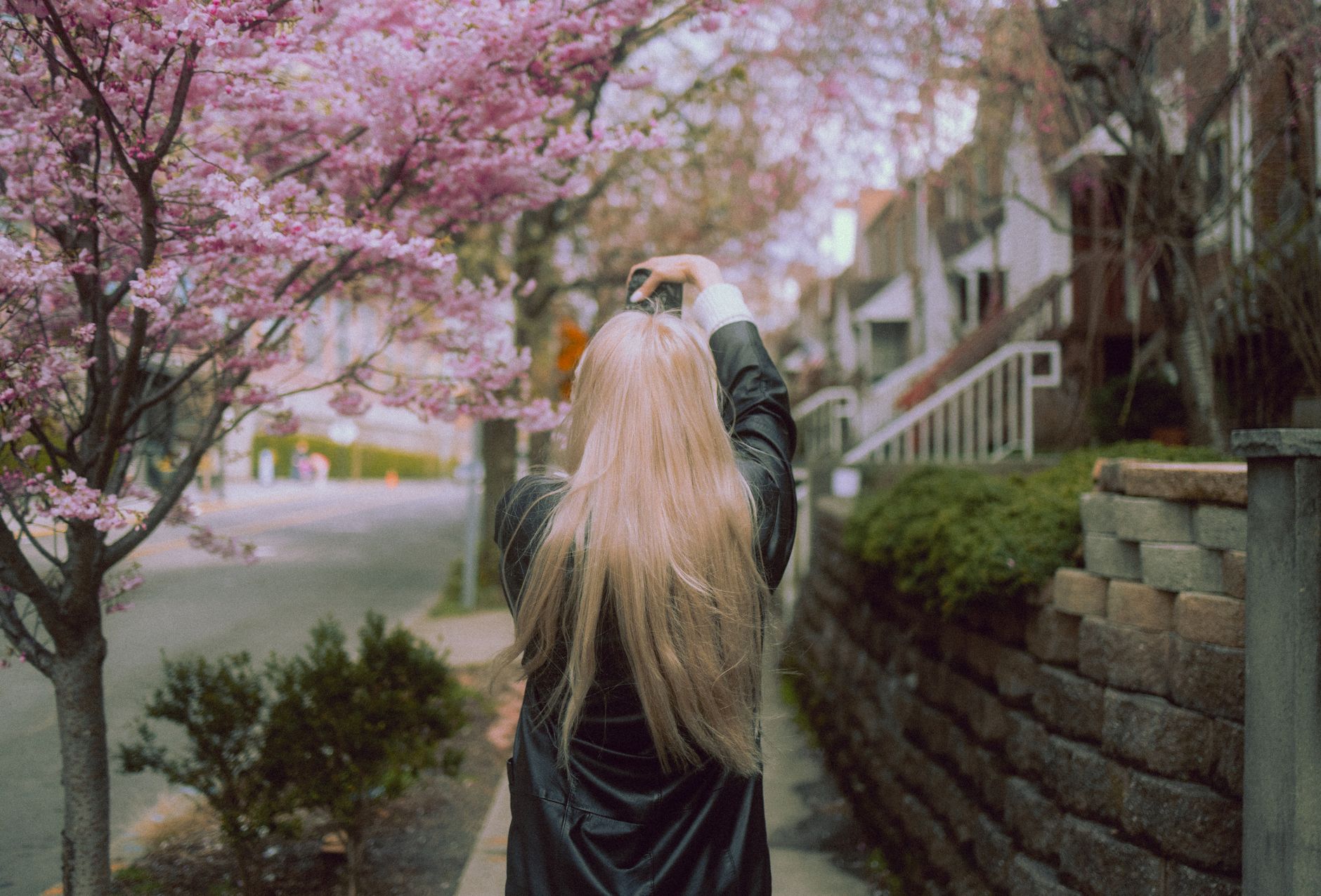 A woman raising her camera toward pink flowering trees along a city sidewalk