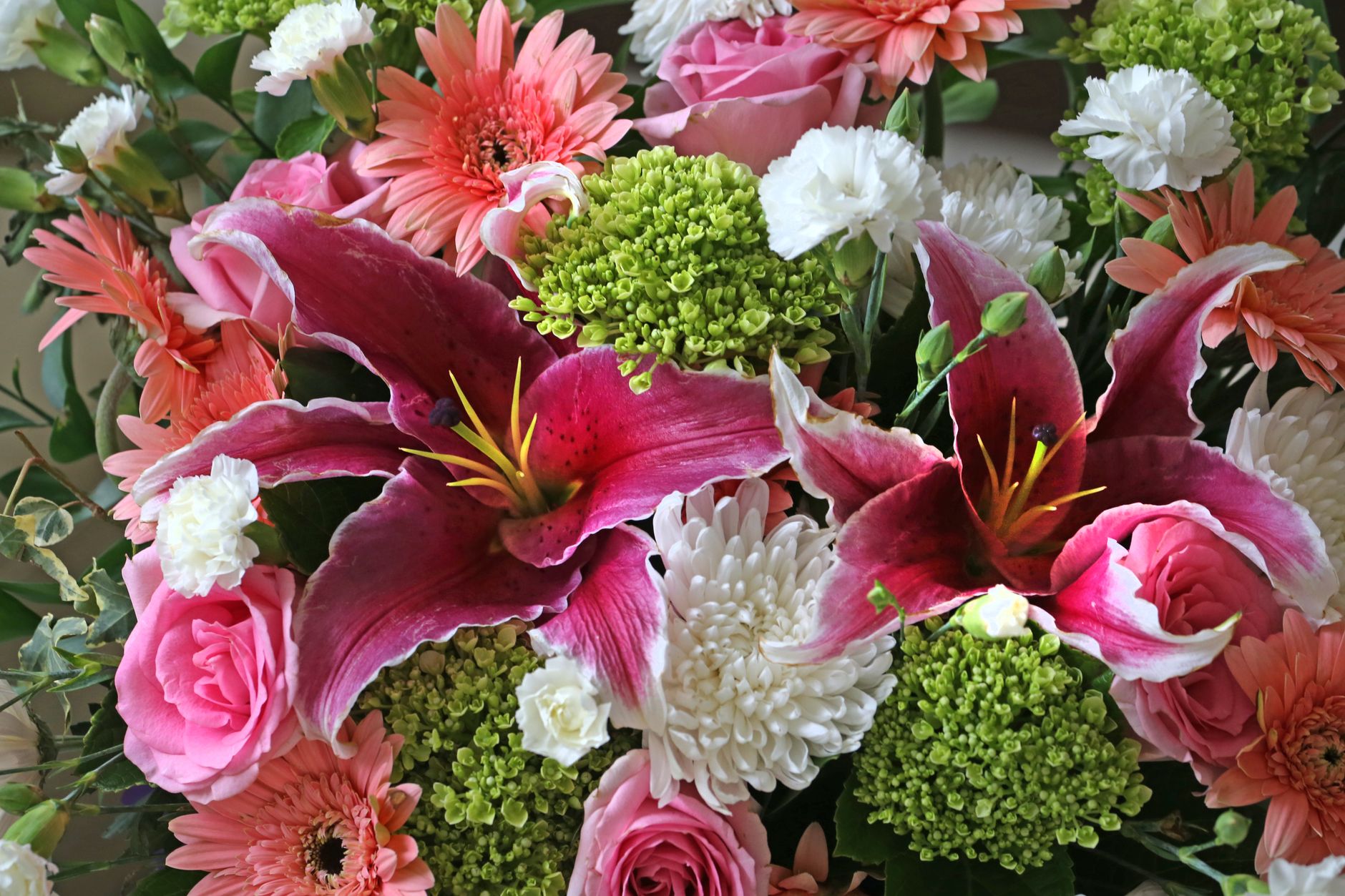 A vibrant mixed celebration bouquet with pink roses, stargazer lilies, gerbera daisies, and chrysanthemums
