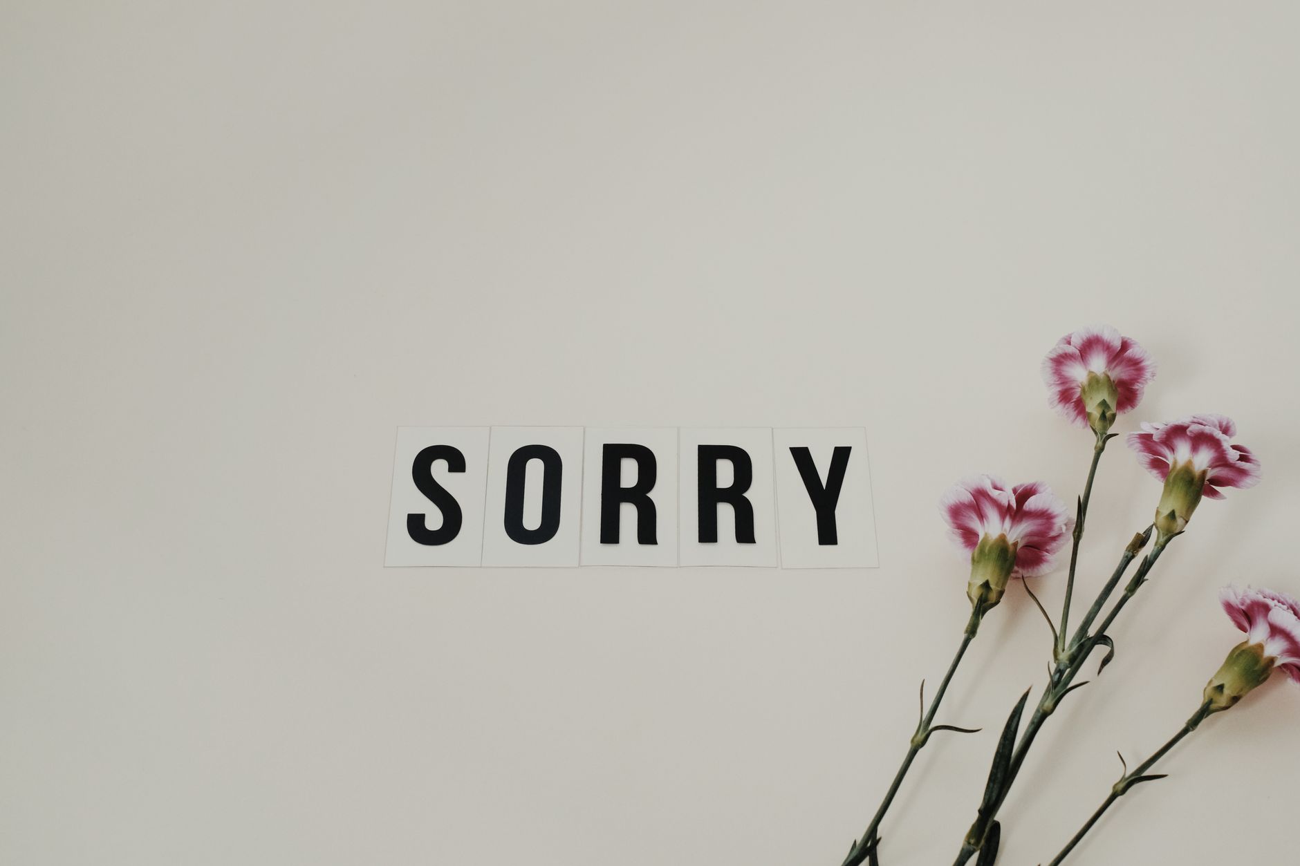 The word SORRY spelled out in letter cards next to pink and white carnations