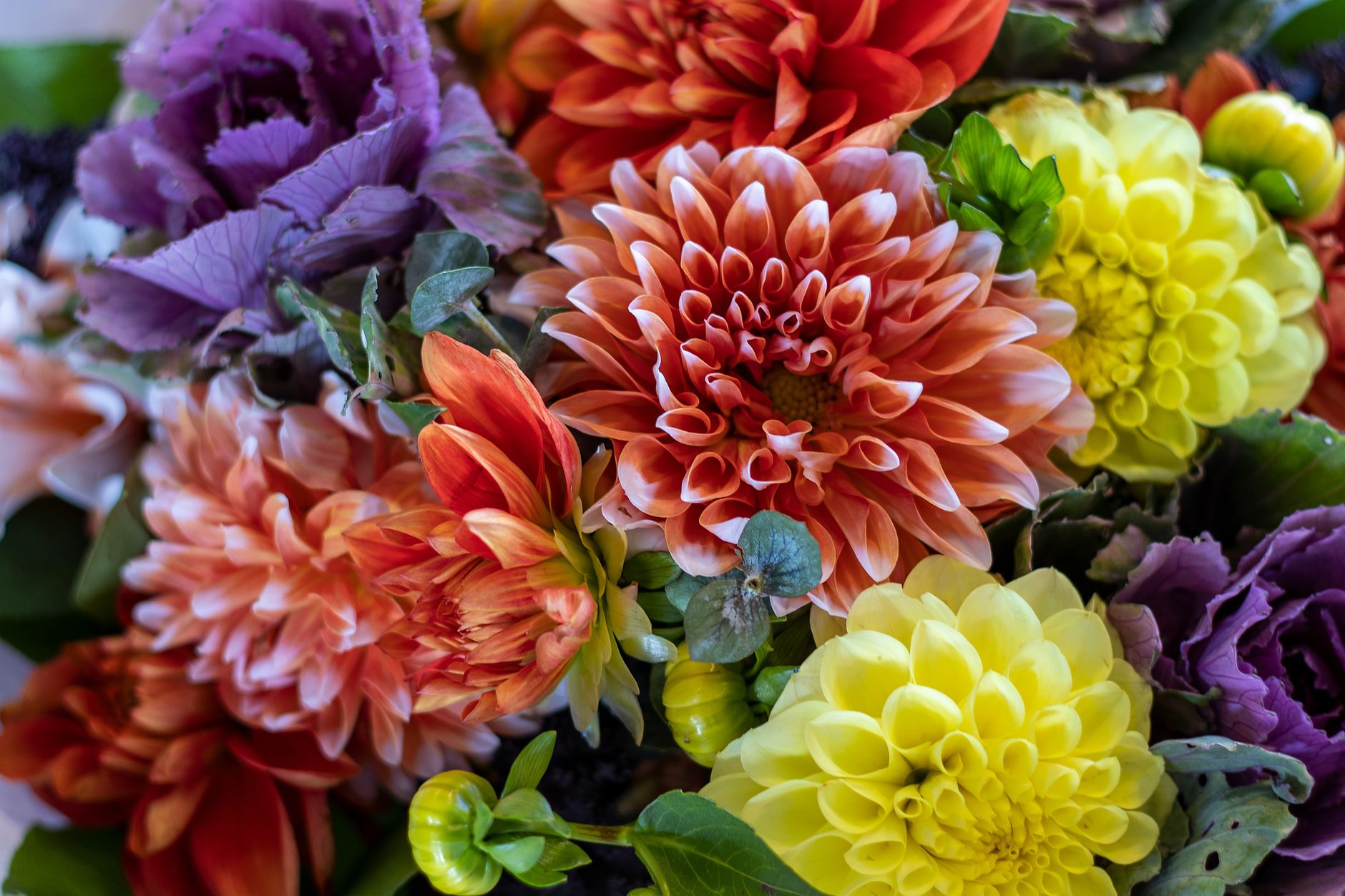 A close-up autumn bouquet of coral and yellow dahlias, purple chrysanthemums, and green foliage