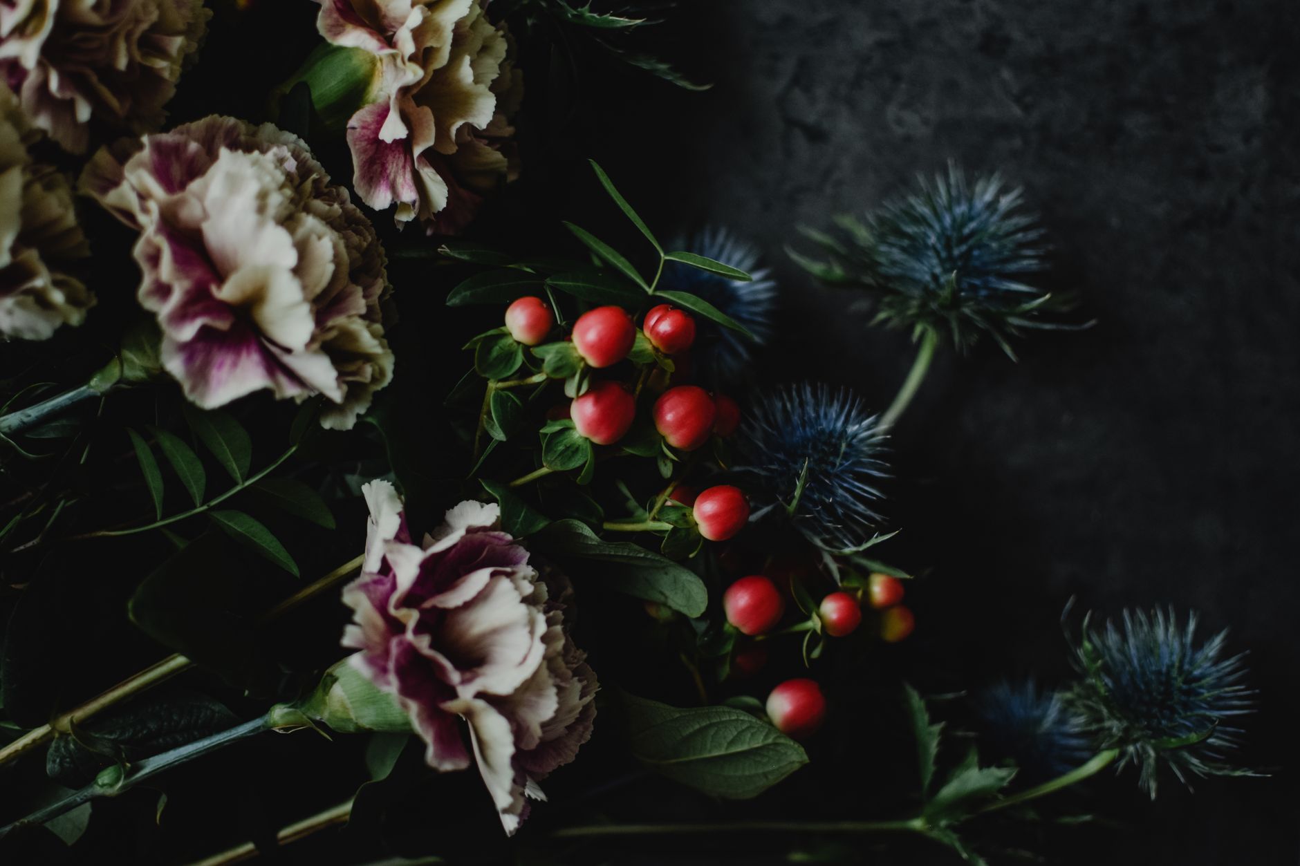Mauve and cream carnations, bright red berries, and blue-gray thistle heads on a dark, moody background