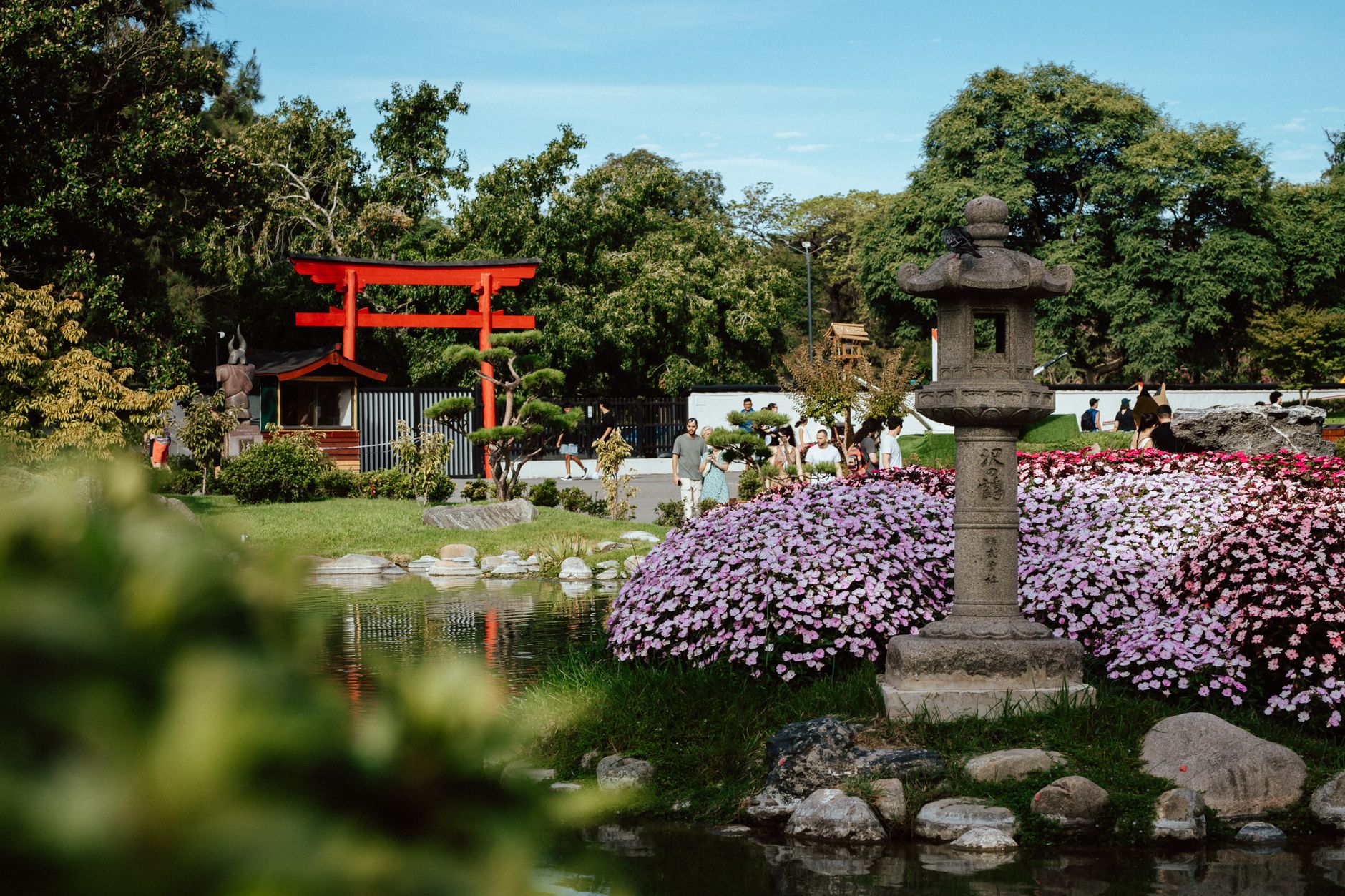 A Japanese-style garden with a red gate, stone lantern, still pond, and blooming flowers
